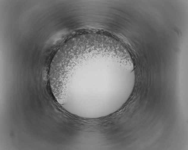 X0000112861110200910021306