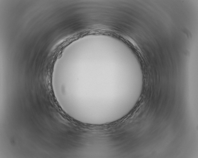 X0000112861112200910021306