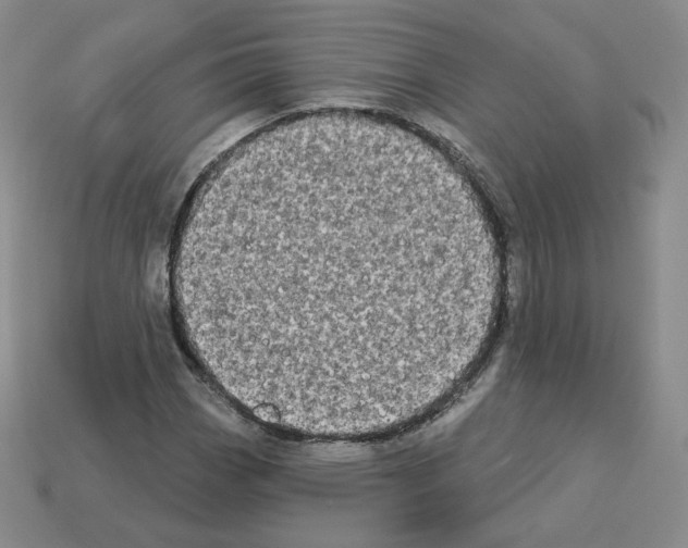 X0000112861113200910021306