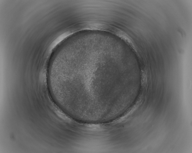 X0000112861114200910021306