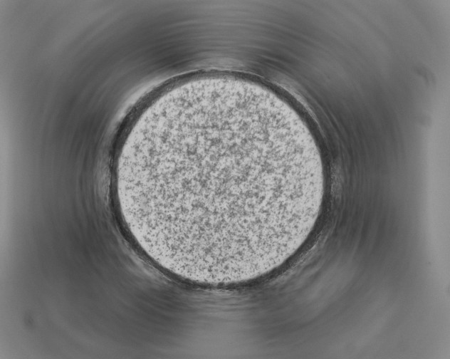 X0000112861115200910021306