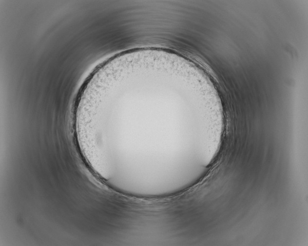 X0000112861116200910021306