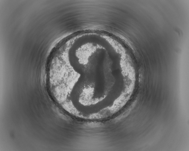 X0000112861117200910021306