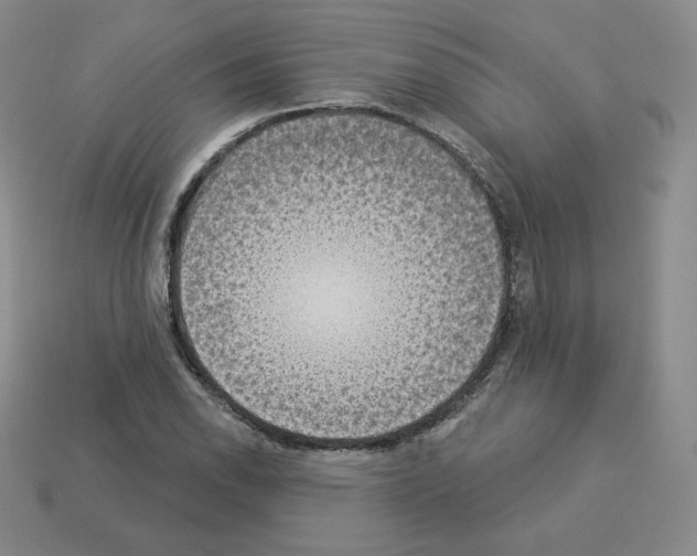X0000112861118200910021306