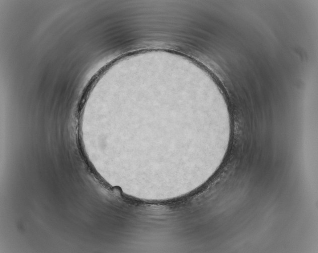 X0000112861119200910021306