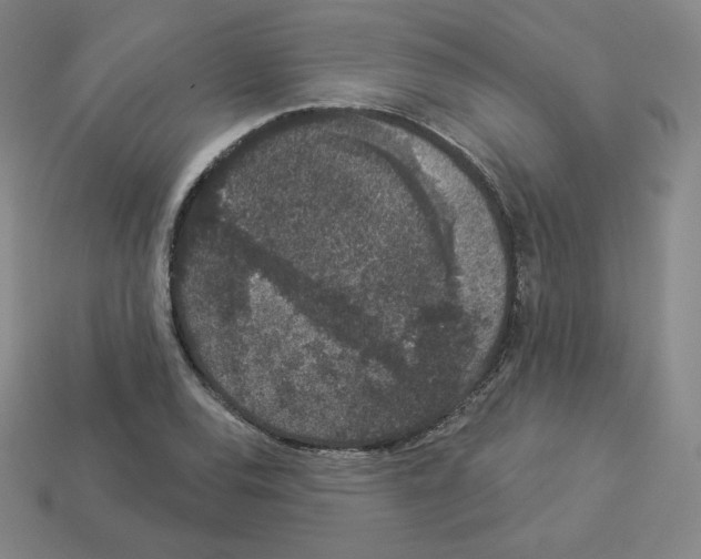 X0000112861120200910021306
