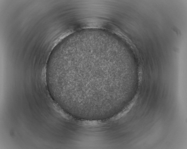 X0000112861121200910021306