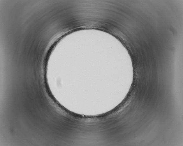X0000112861122200910021306
