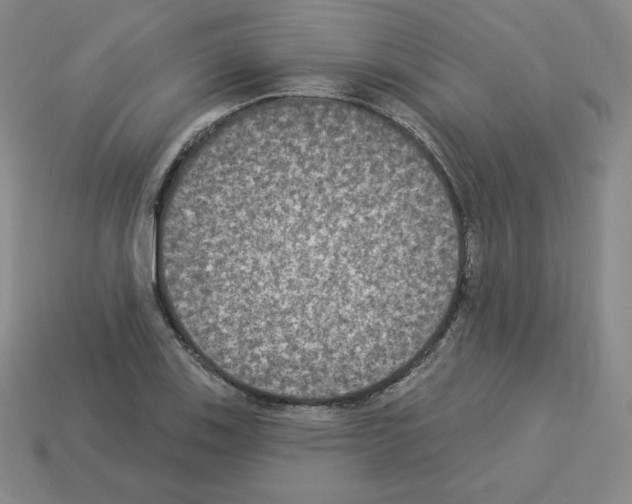 X0000112861123200910021306