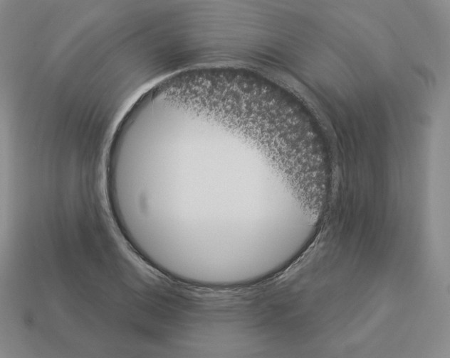 X0000112861124200910021306