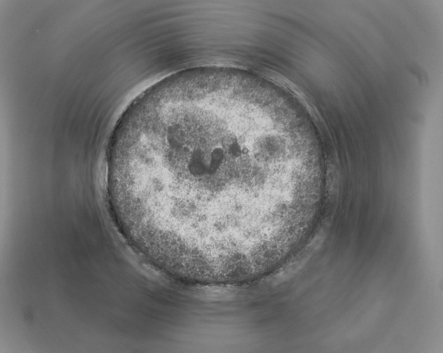 X0000112861125200910021306