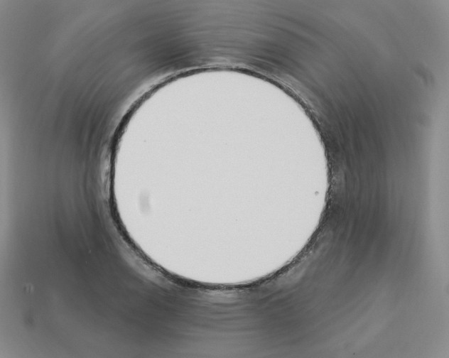 X0000112861126200910021306