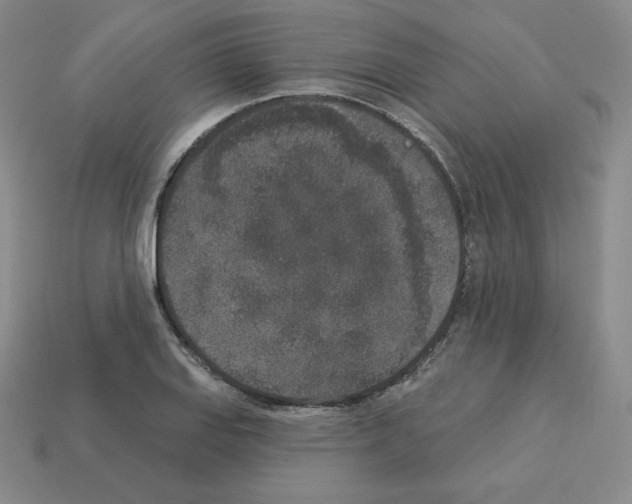 X0000112861127200910021306