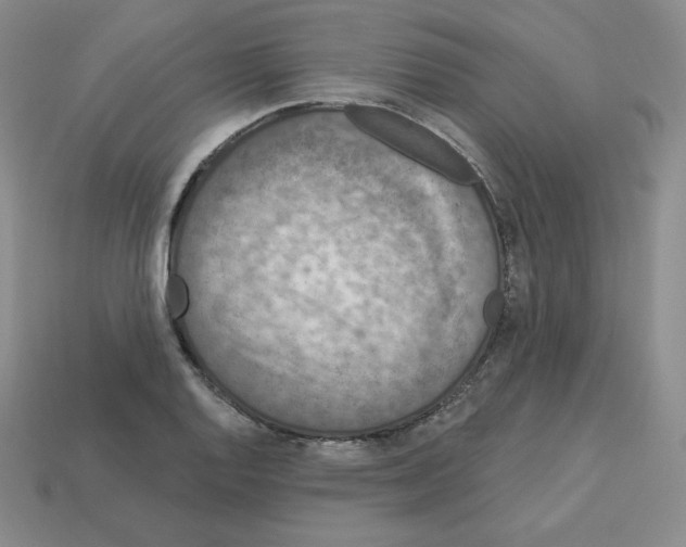 X0000112861128200910021306