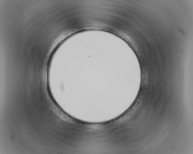 X0000112861130200910021306
