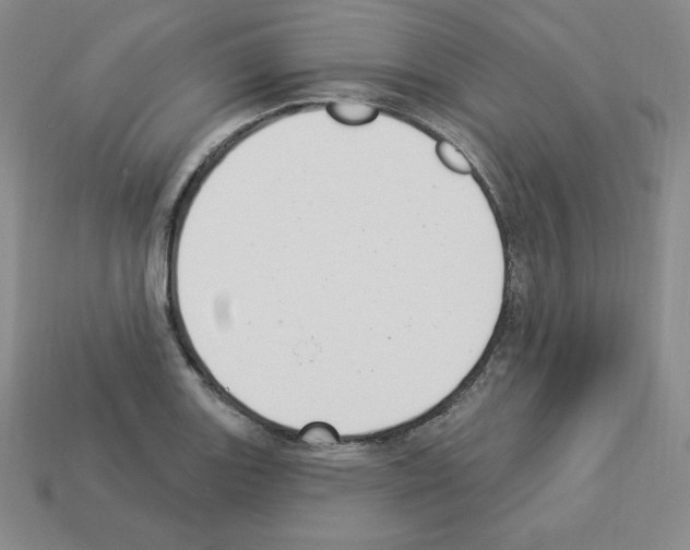 X0000112861131200910021306