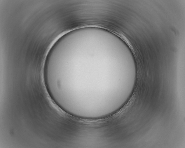 X0000112861132200910021306