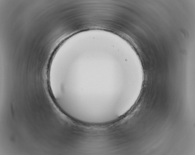 X0000112861133200910021306