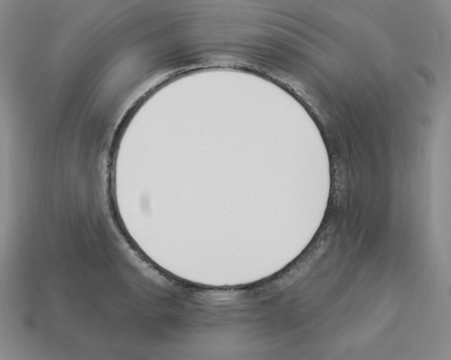X0000112861134200910021306