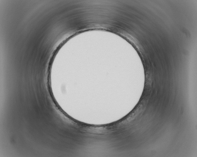 X0000112861135200910021306