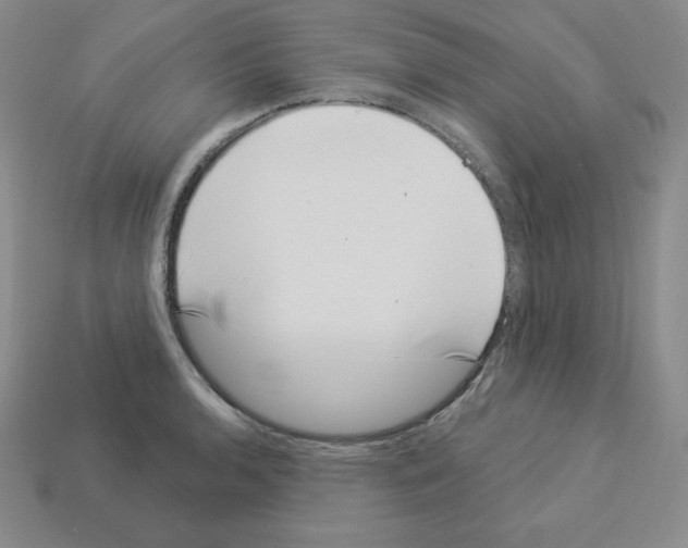 X0000112861136200910021306