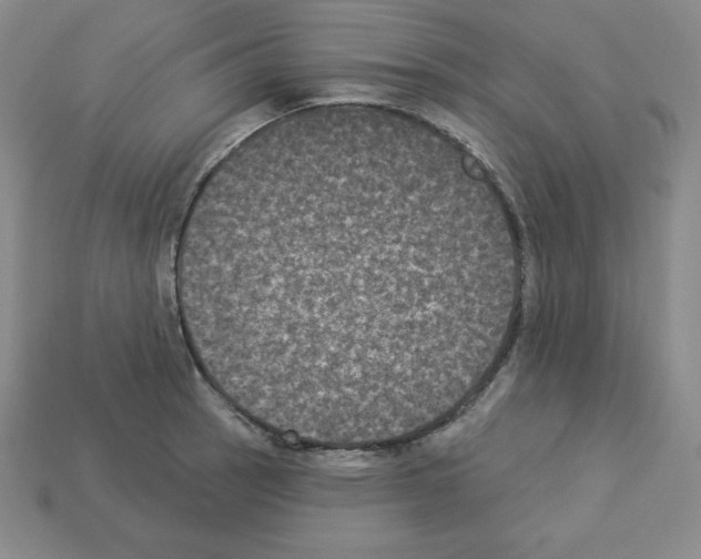 X0000112861137200910021306