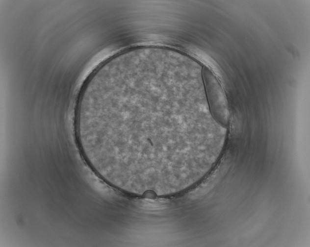 X0000112861138200910021306