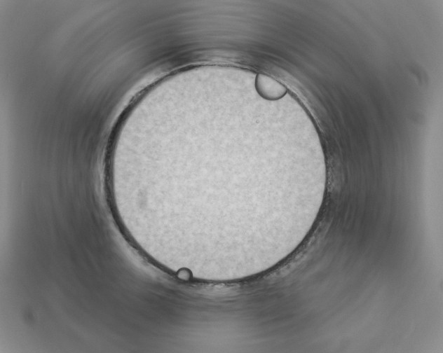 X0000112861139200910021306
