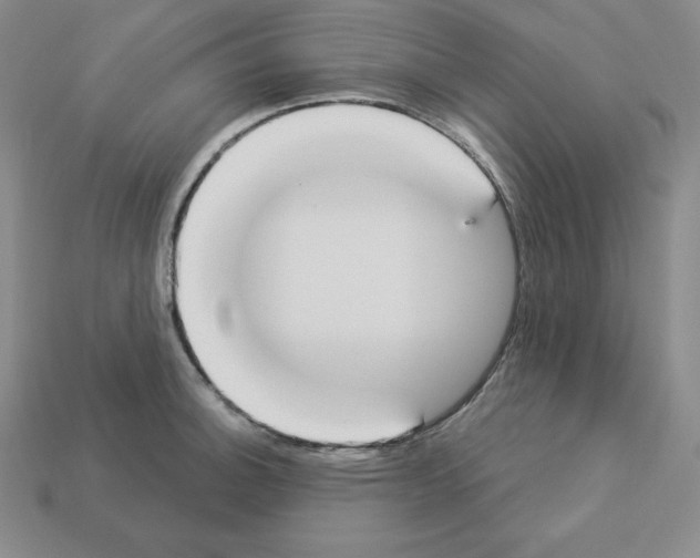 X0000112861140200910021306