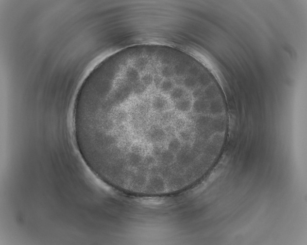 X0000112861141200910021306