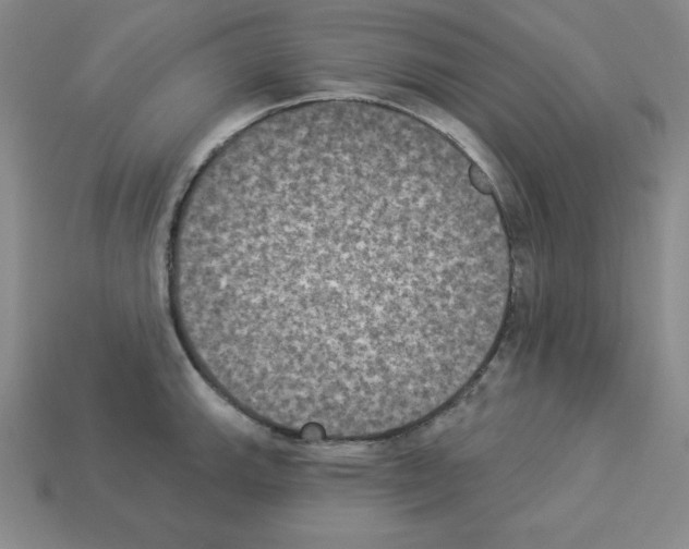 X0000112861143200910021306
