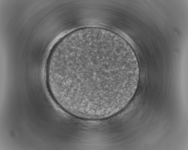 X0000112861144200910021306