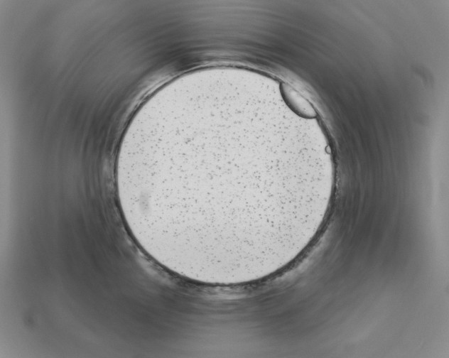 X0000112861145200910021306
