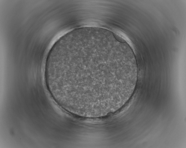 X0000112861146200910021306