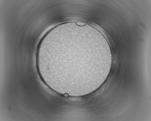 X0000112861147200910021306