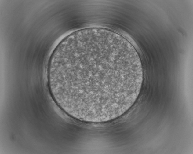 X0000112861148200910021306