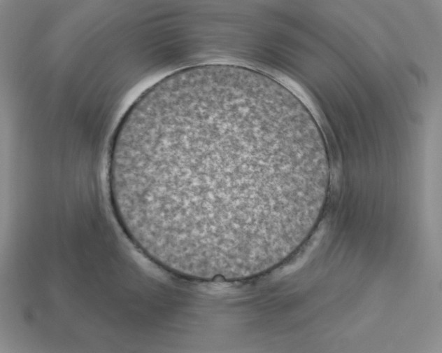 X0000112861149200910021306