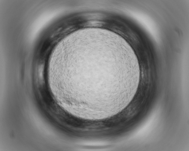 X0000112861150200910021306