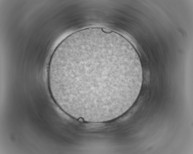 X0000112861151200910021306