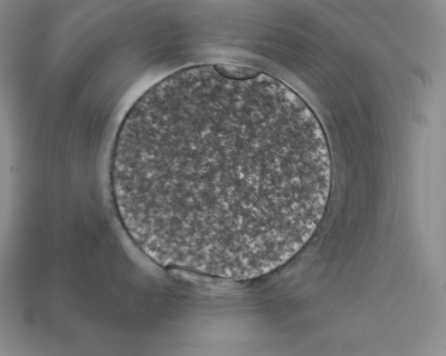 X0000112861152200910021306