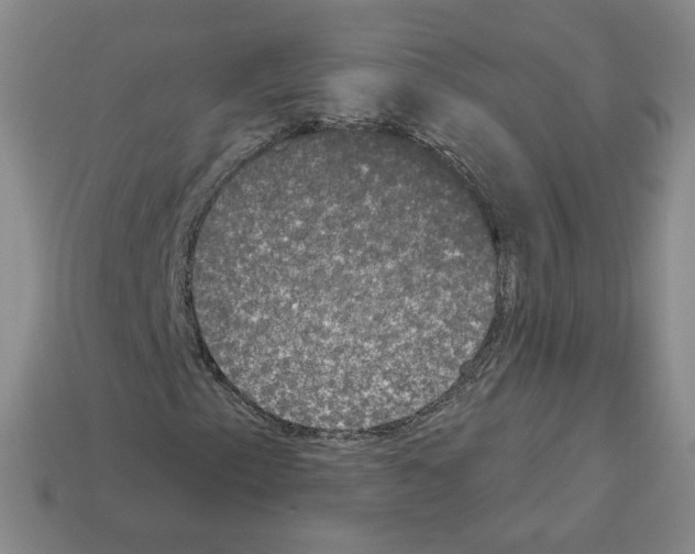 X0000112861153200910021306