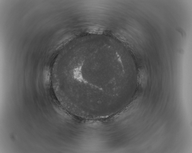 X0000112861154200910021306