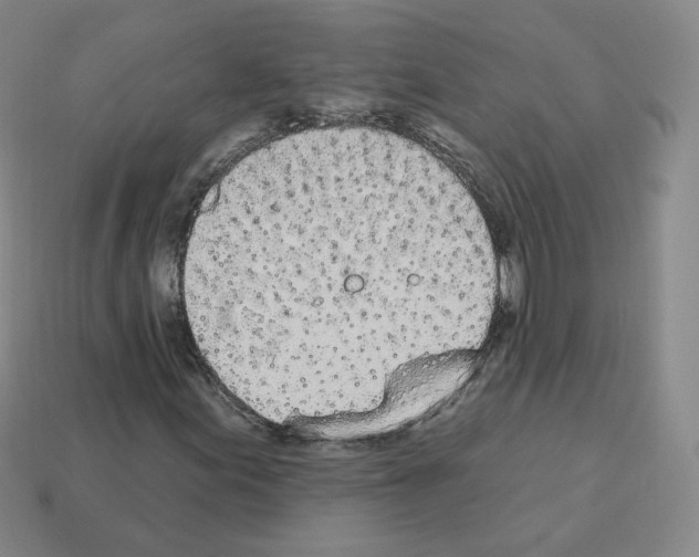 X0000112861155200910021306