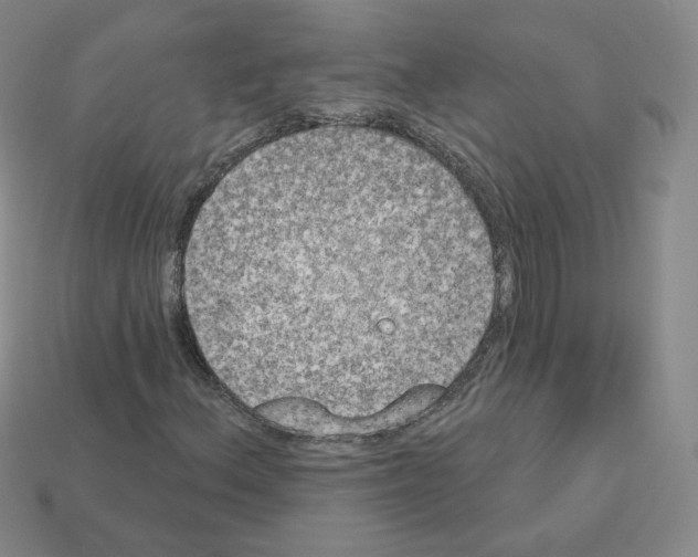 X0000112861156200910021306