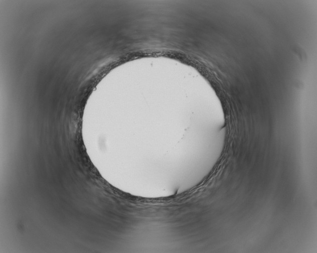 X0000112861157200910021306