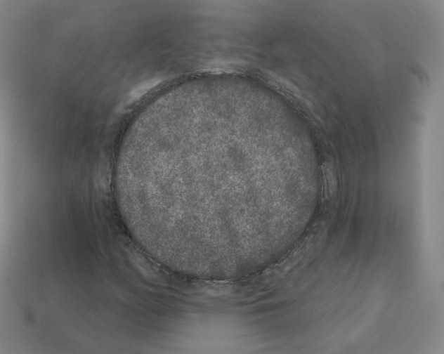 X0000112861158200910021306
