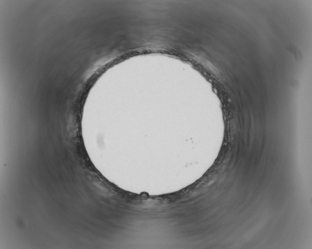 X0000112861160200910021306