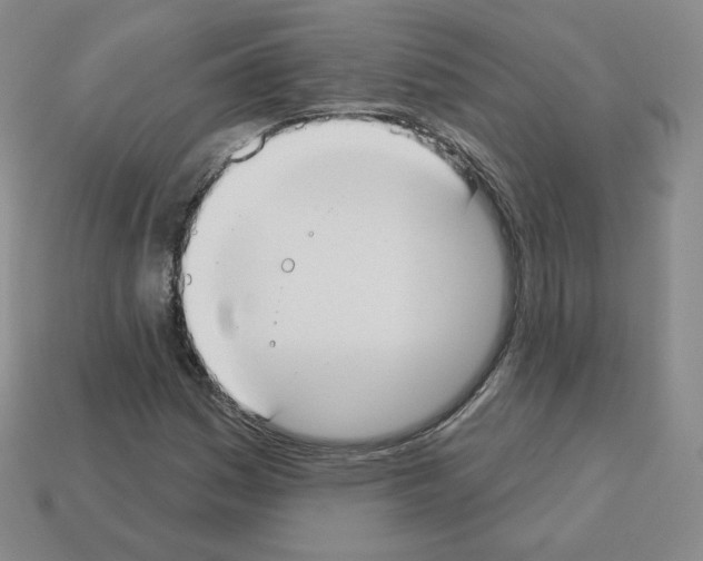 X0000112861161200910021306