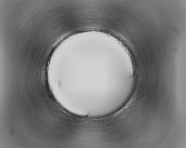 X0000112861162200910021306