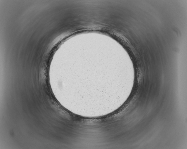 X0000112861163200910021306